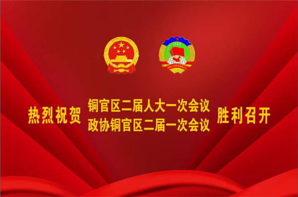 熱烈祝賀公司董事、副總經(jīng)理王從偉被選為 第二屆銅陵市銅官區(qū)政協(xié)常務(wù)委員